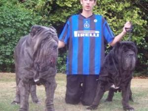 Dogs 04 08 2006.aa 057