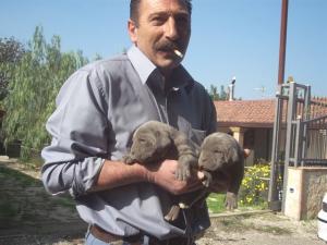 Vincenzo Manna with Bella & Luna, photo taken  Oct 05 by Steve Cox