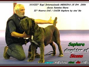 Sephora by sine^die II Res. CAC & CACIB