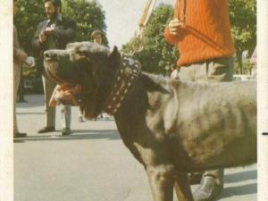 Napoli anno 1972