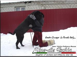 Sine^die Ischia and Natalya