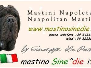 500 biglietto da visita,