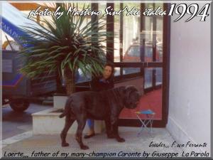 1994 Laerte fhater of champion Caronte,