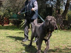 nemo del castellaccio con giuseppe la parola