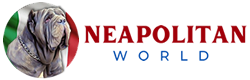 Neapolitan World